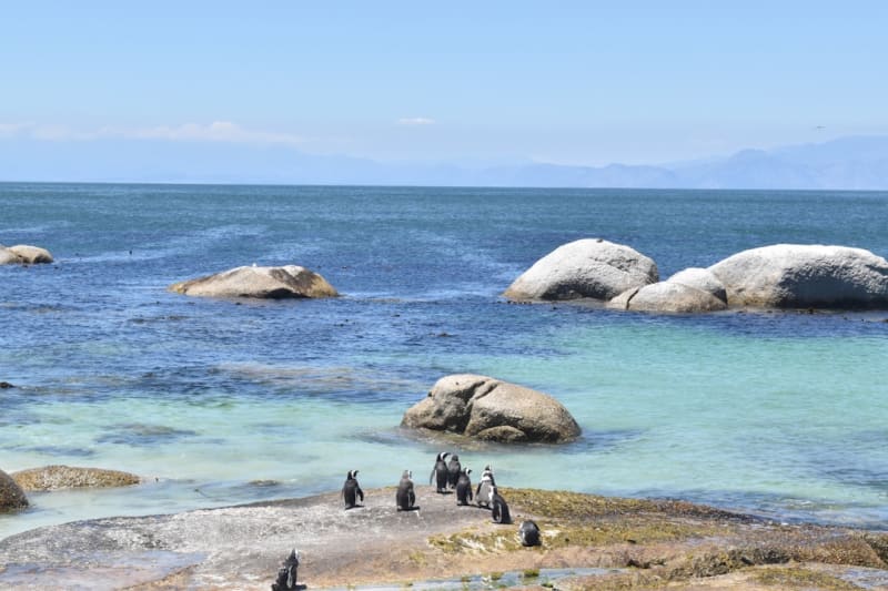 Andilana Beach Madagascar Packages 2027: Prices & Booking
