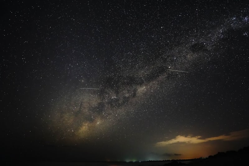 Gorongosa National Park Night Drives 2027: Permit Costs & Packages