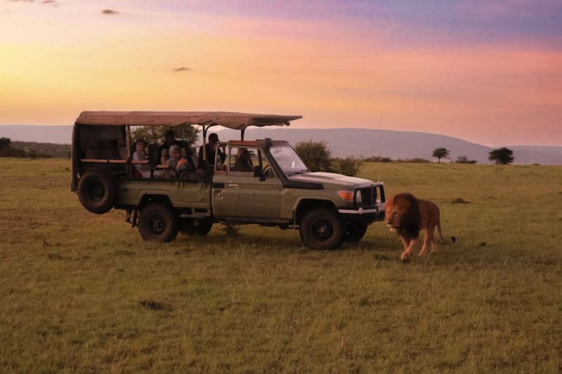 7-Day Kenya Safari Itinerary 2027: Cost & Daily Plan