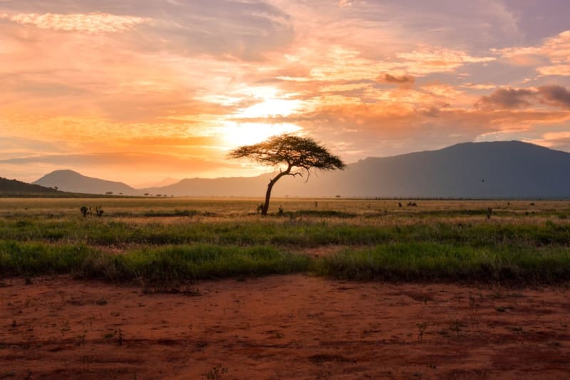 Best Bujumbura Hotels for Safari Trips: 2027 Rates