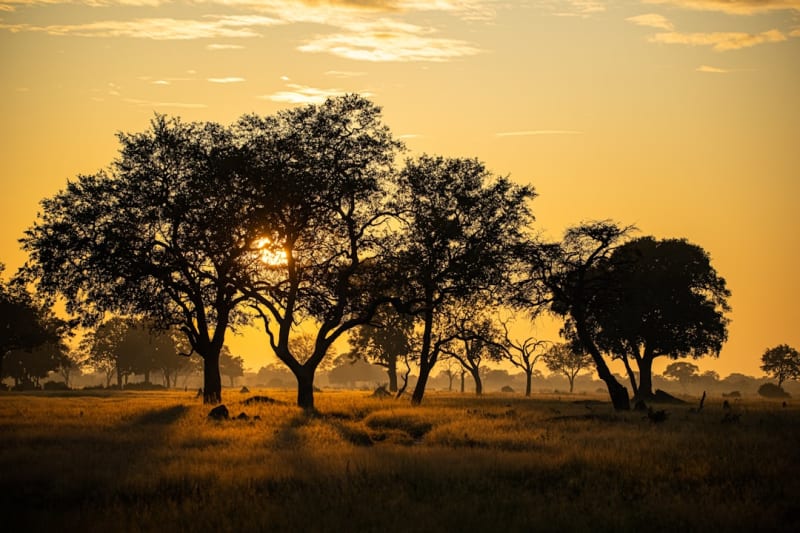 Chivero Beach Zimbabwe Packages 2027: Prices for Families