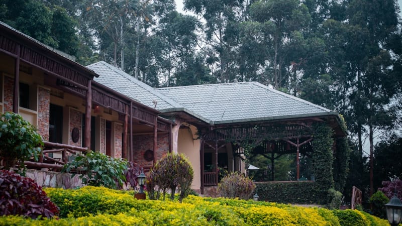 Bwindi Lodges 2027: Prices Near Impenetrable Forest