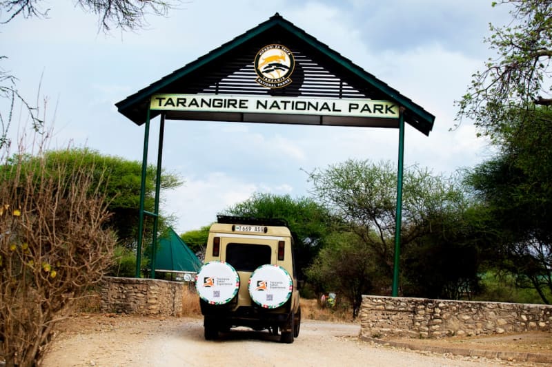 Best Safari Lodges in Tanzania 2027: Rates and Booking Guide