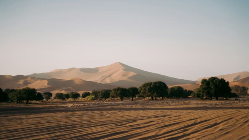 Deadvlei Tours 2027: How to Visit and Package Costs