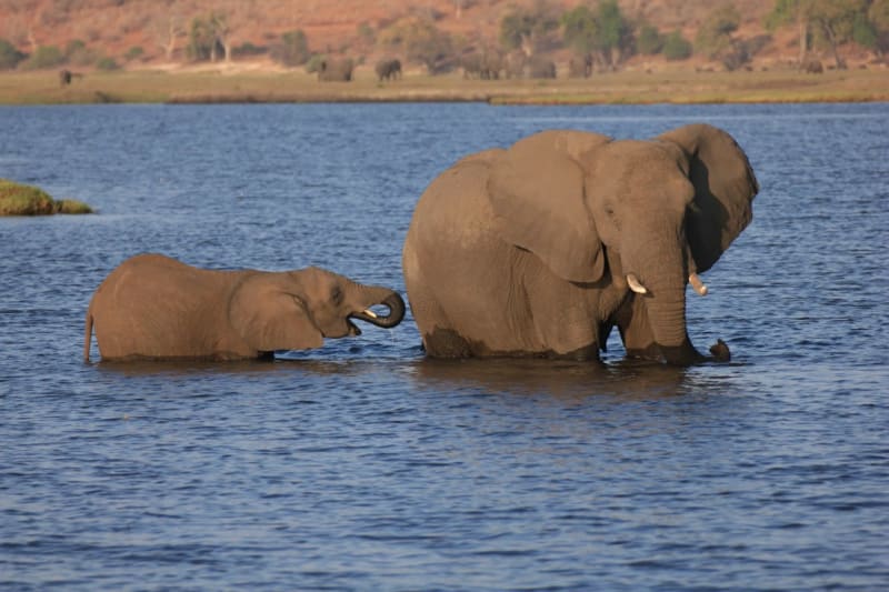 Is There an American Embassy in Botswana? 2026 Guide