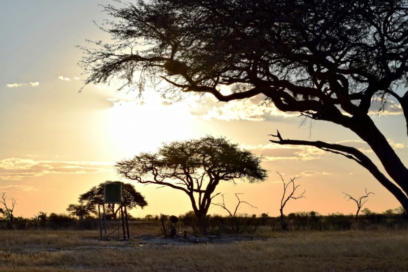 Hwange Night Drive Packages 2027: Prices and Booking