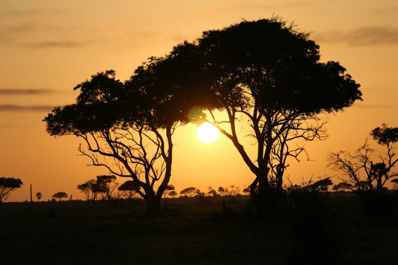 Entebbe-Safari-Pakete 2027: Preise und Tagesausflüge
