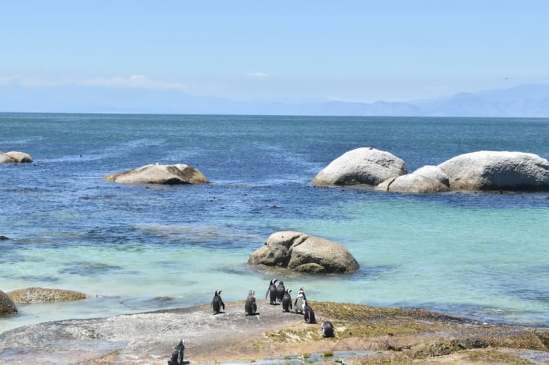 Andilana Beach Packages 2027: Prices and Booking Guide