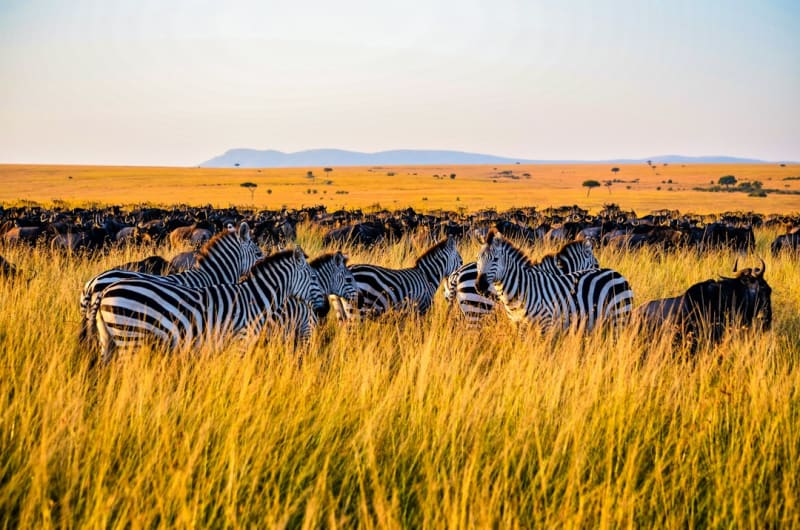 Things to Do in Kisumu 2027: Tours, Safaris and Prices