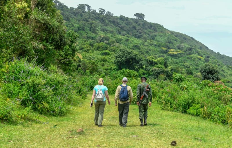 Arusha National Park Walking Safari Prices 2027