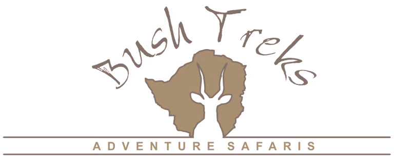 Bush Safaris