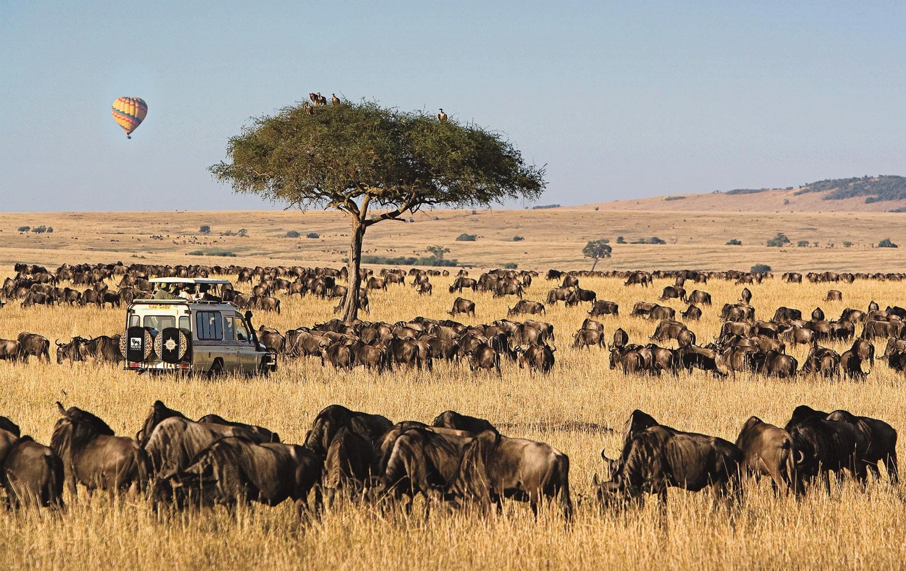 Maasai Mara Wilderness: Five Days of Raw African Beauty
