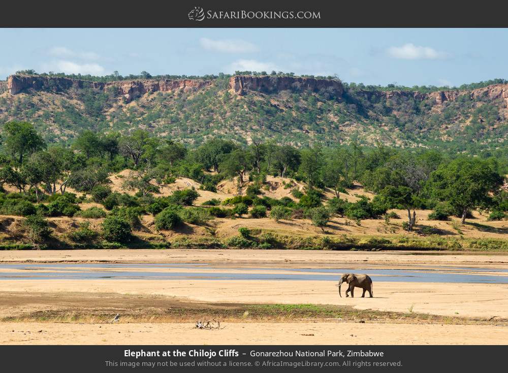 Southern Mozambique's Untamed Wilderness Explorer
