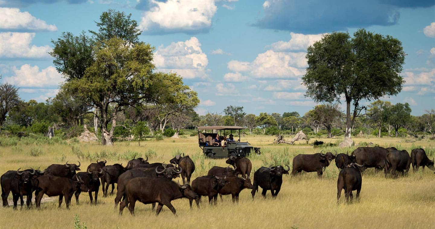 7-Day Chobe & Okavango Safari in Botswana