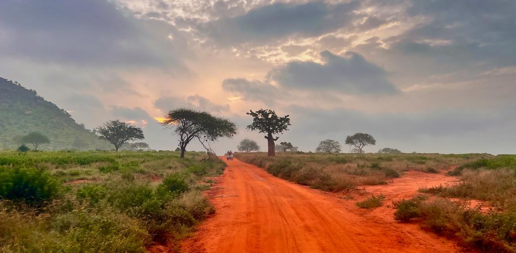 Top 10 Tour Operators in Kenya