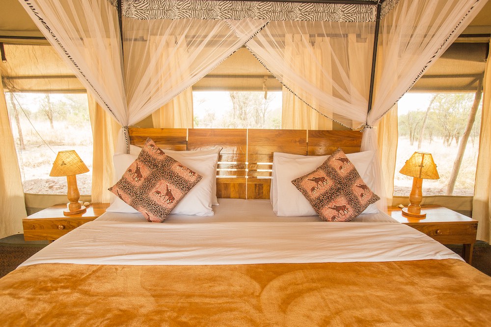 3-Days 3-Day An Unforgettable Serengeti and Ngorongoro Safari Experience