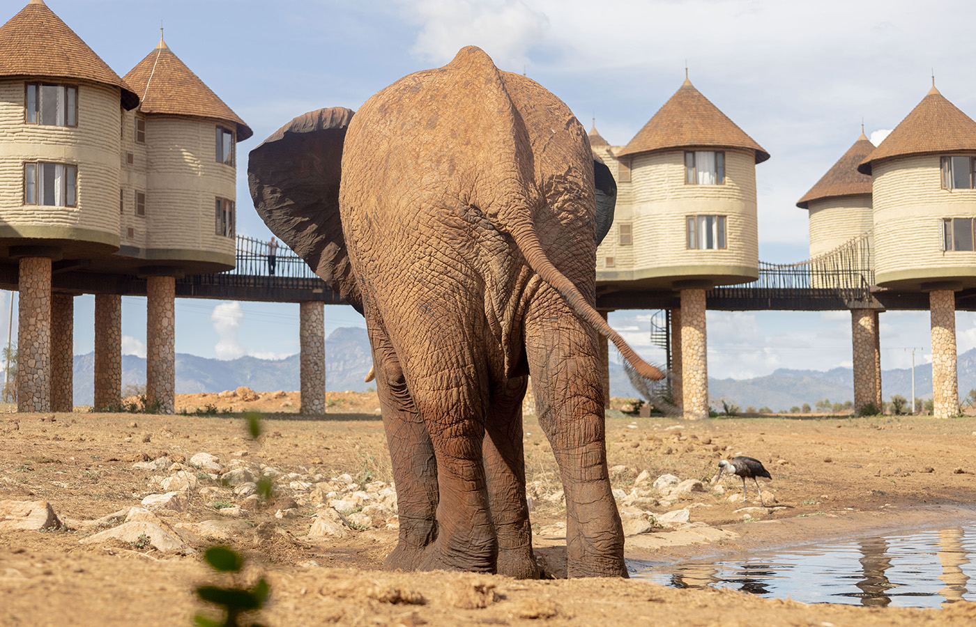 3-Day Salt Lick Safari Lodge Experience — With SGR Madaraka Passenger Service