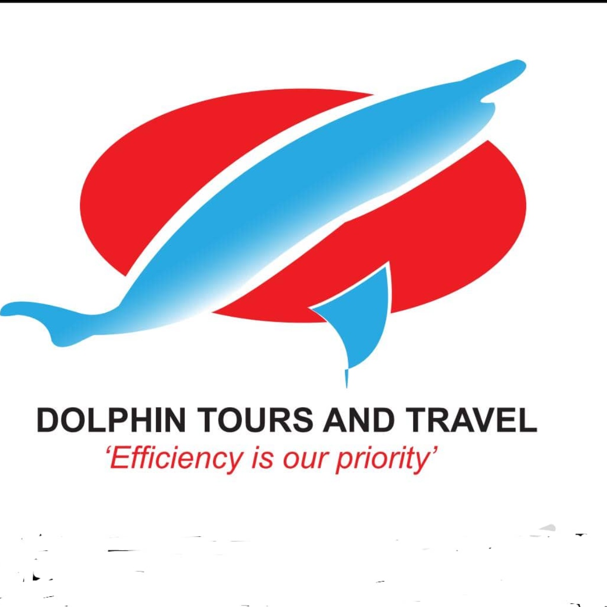 Dolphin tours and travel