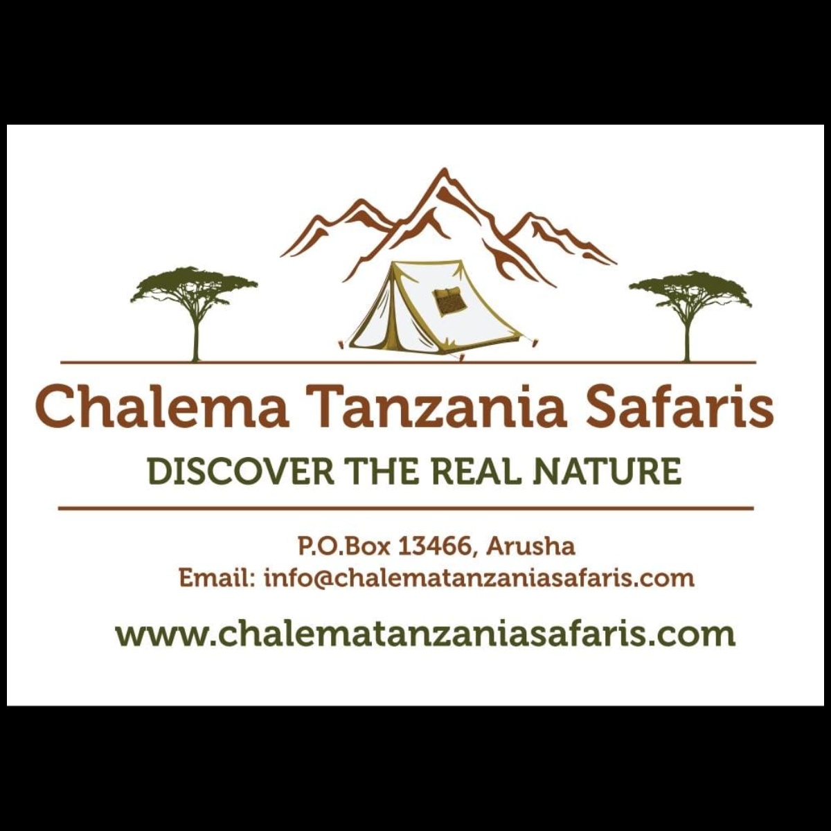 Chalema Tanzania Safaris