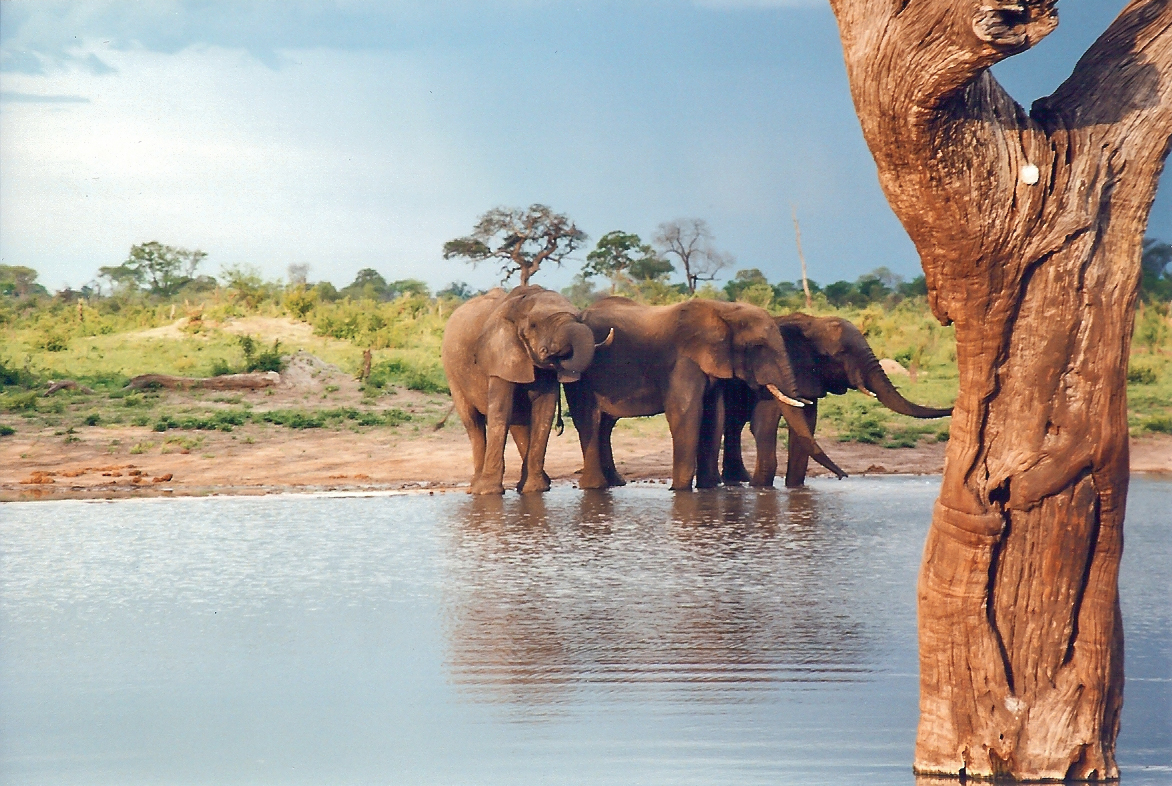 14-Day Best of South Africa, Zimbabwe, Botswana & Namibia