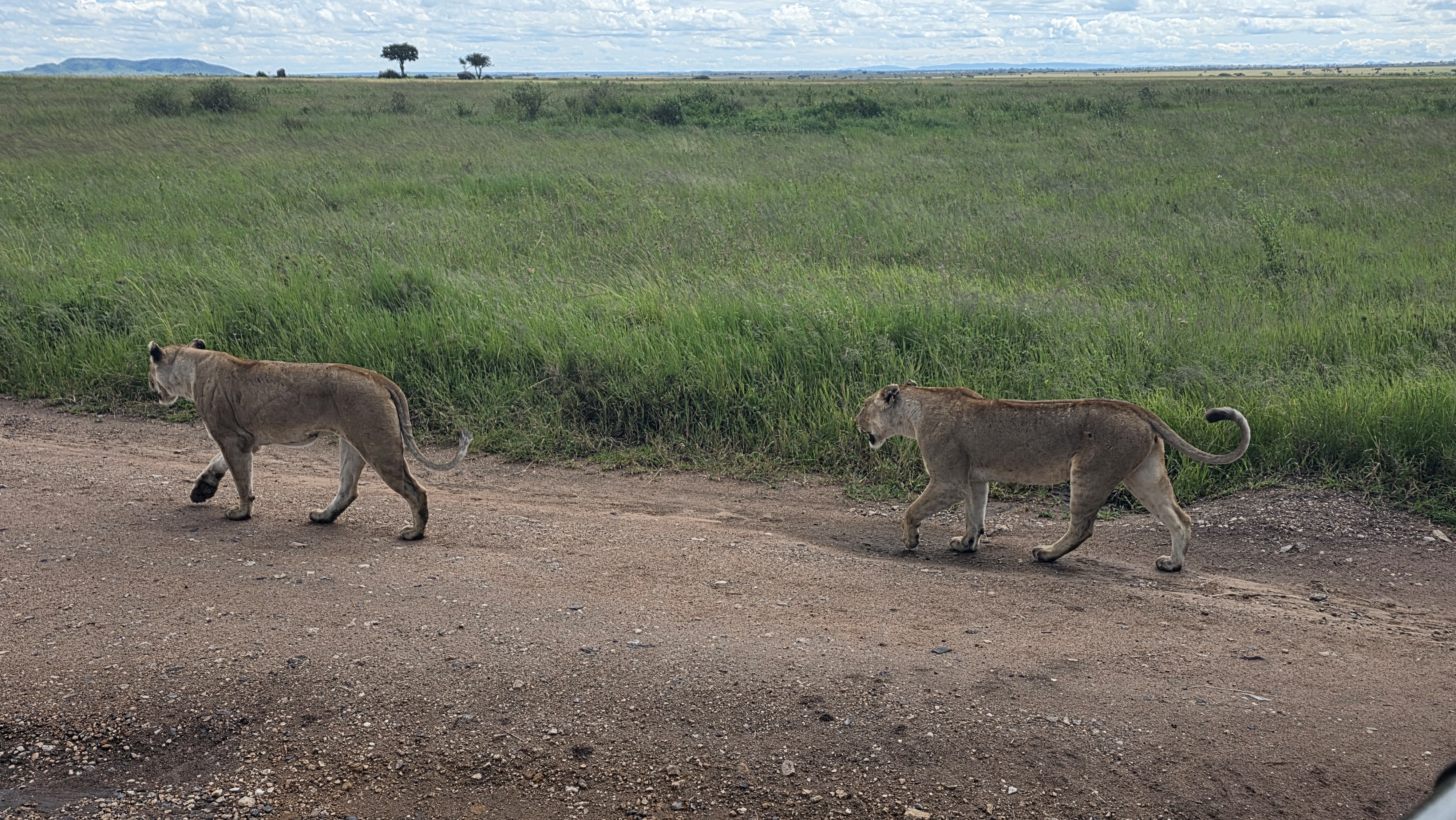 6-Day ADVENTURE SAFARI