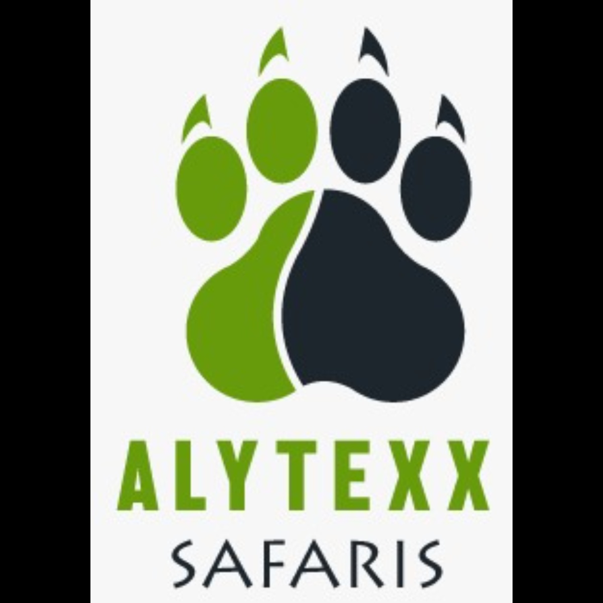 Alytexx Safaris