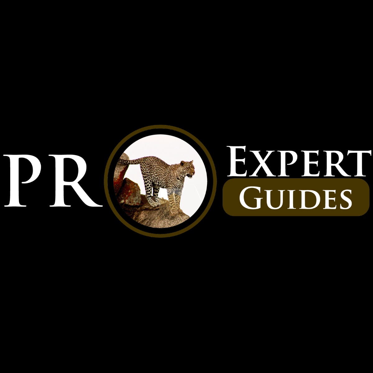 Pro Expert Guides