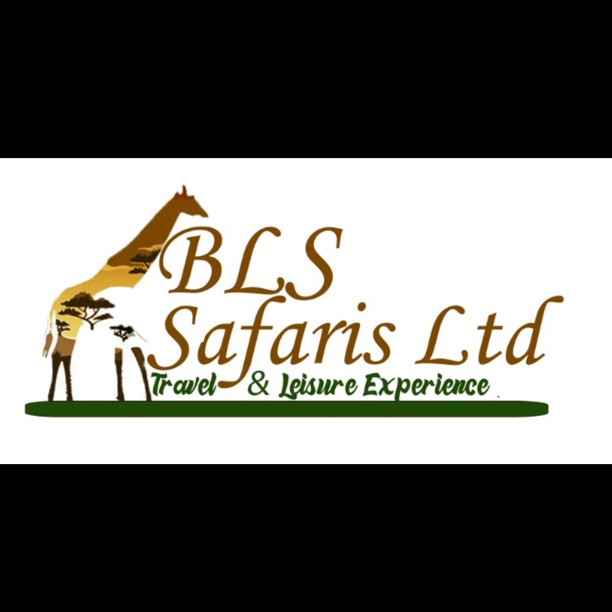 BLS SAFARIS LTD