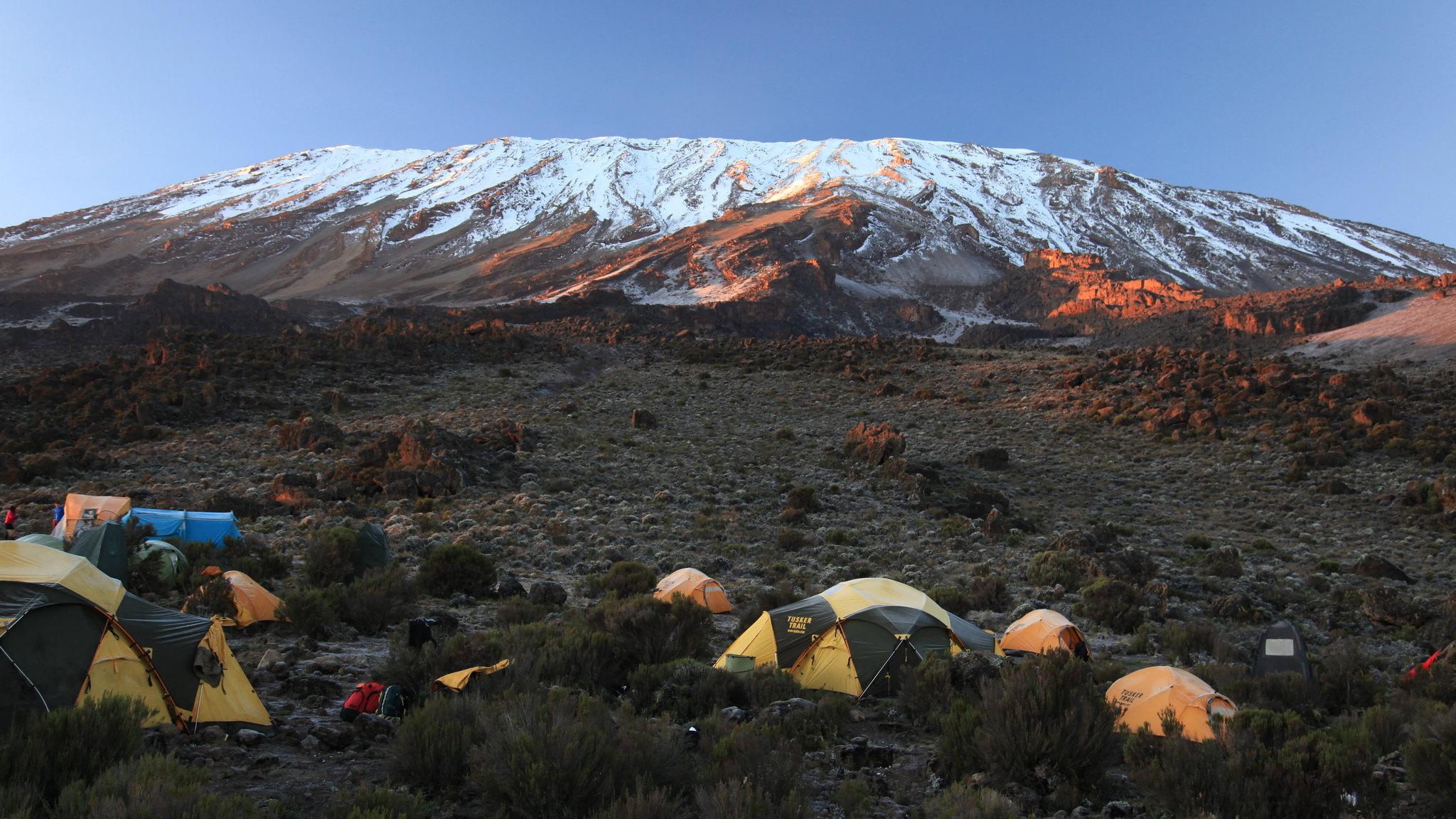 10-Day Northern Circuit Route Kilimanjaro Trek