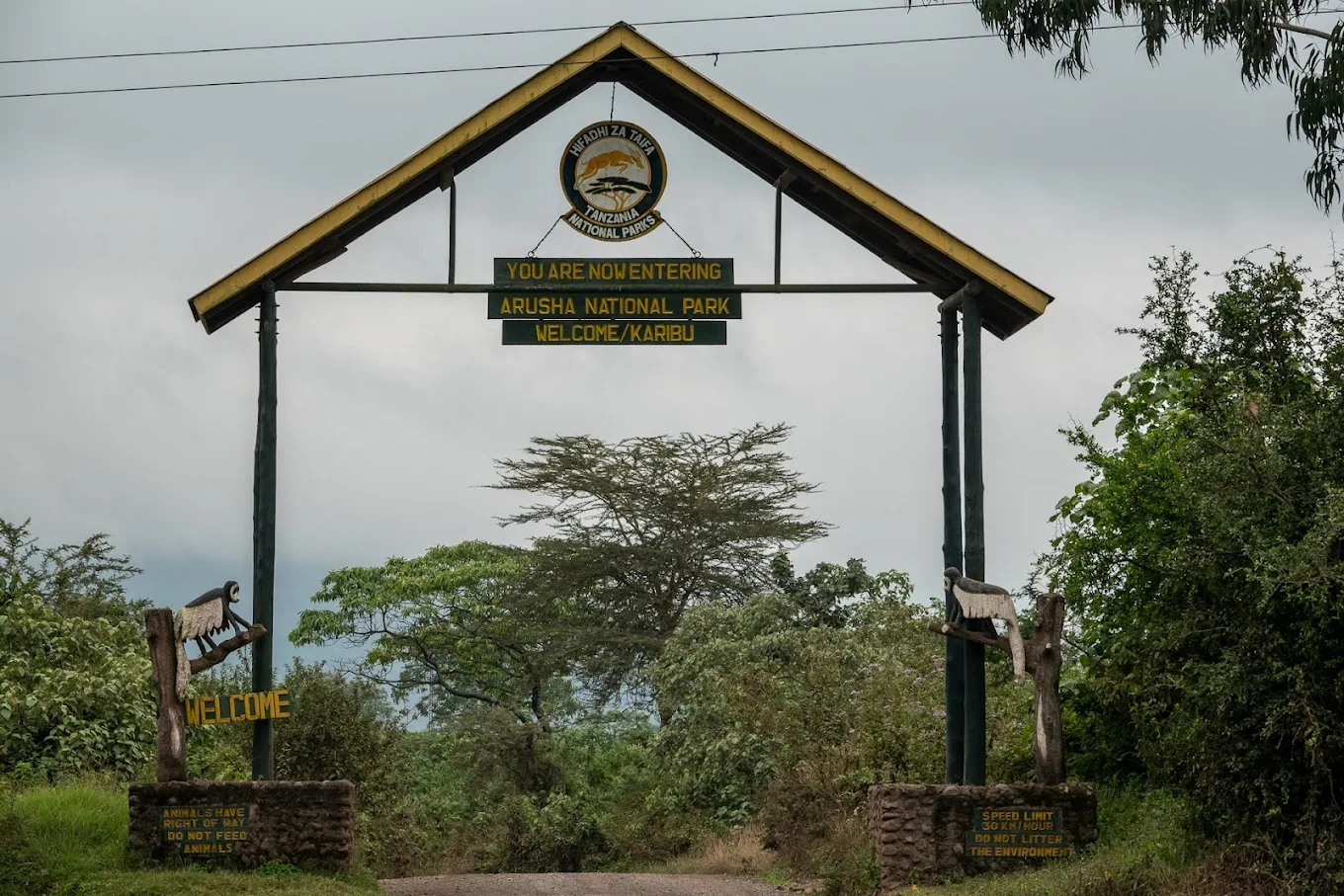1-Day Walking Safari in Arusha National Park