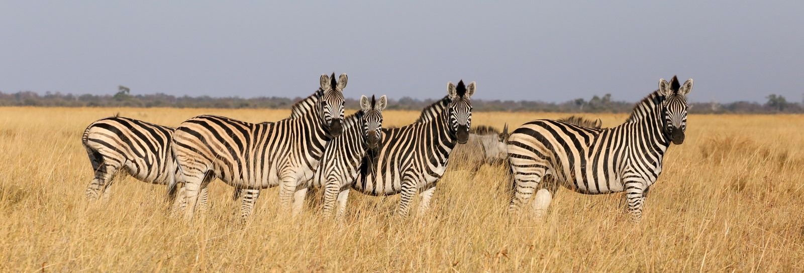 9-Day Safari: Victoria Falls, Chobe & Okavango Delta