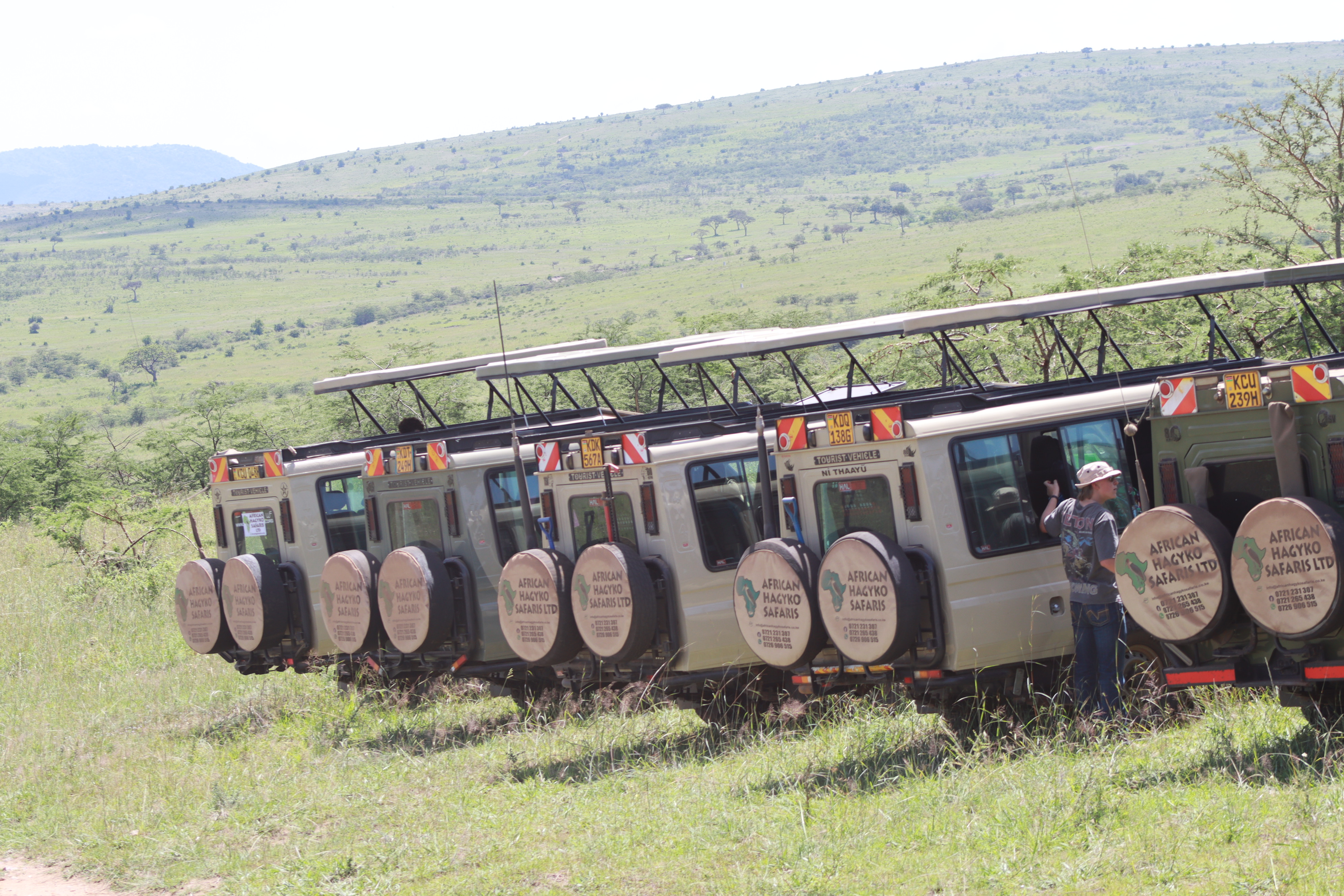 7-Day OL Pejeta Conservancy, Lake Nakuru National Park, Masai Mara National Reserve and Lake Naivasha Safari