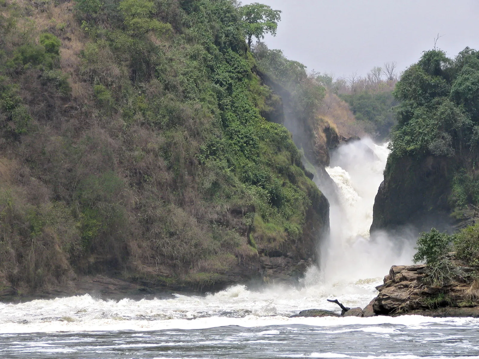 8-Day Uganda Primate and Jinja Adventure Safari