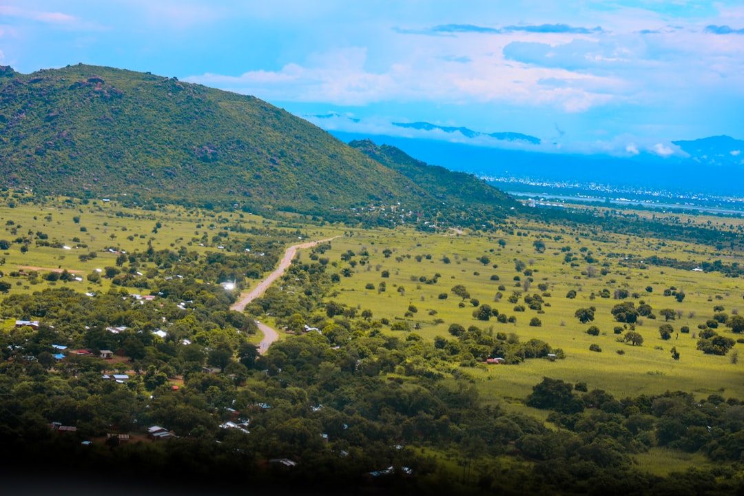 Expansive green landscape with rolling hills and scattered trees.
