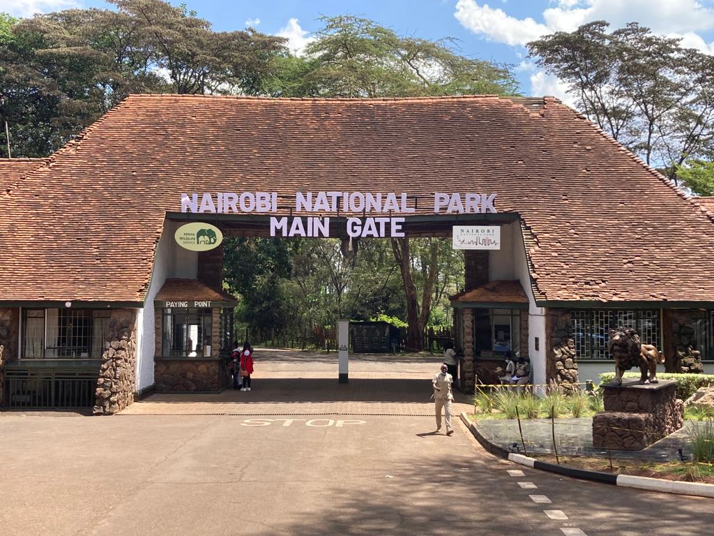1-Day Nairobi National Park Safari, Kenya