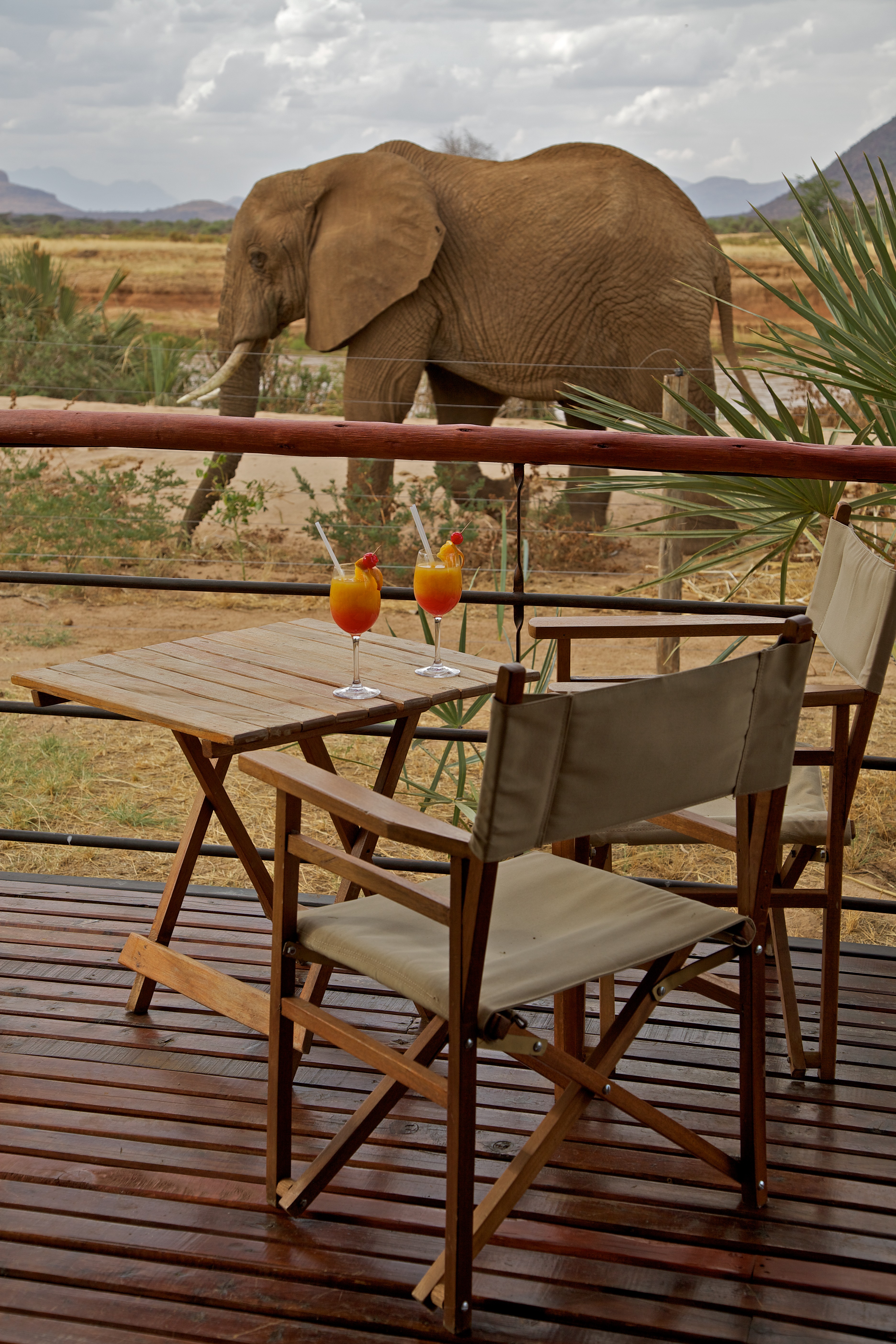 3-Day Tsavo East 2 nights 3 Days