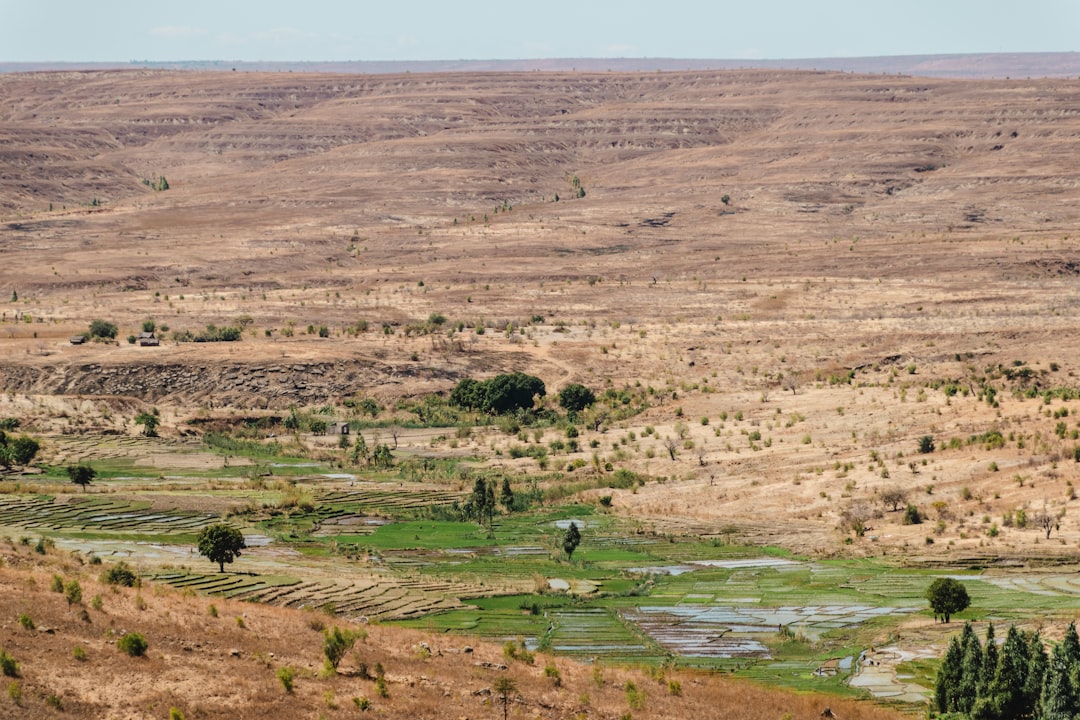Dry, arid landscape with patches of greenery.