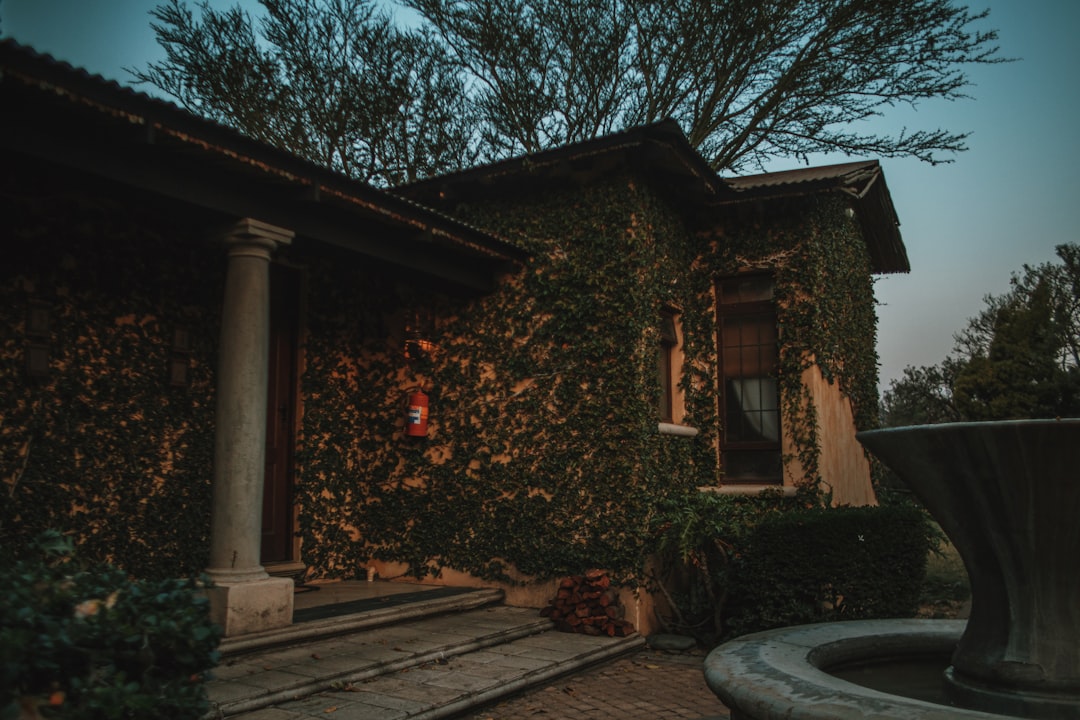 a house covered in vines with a fountain in front of it