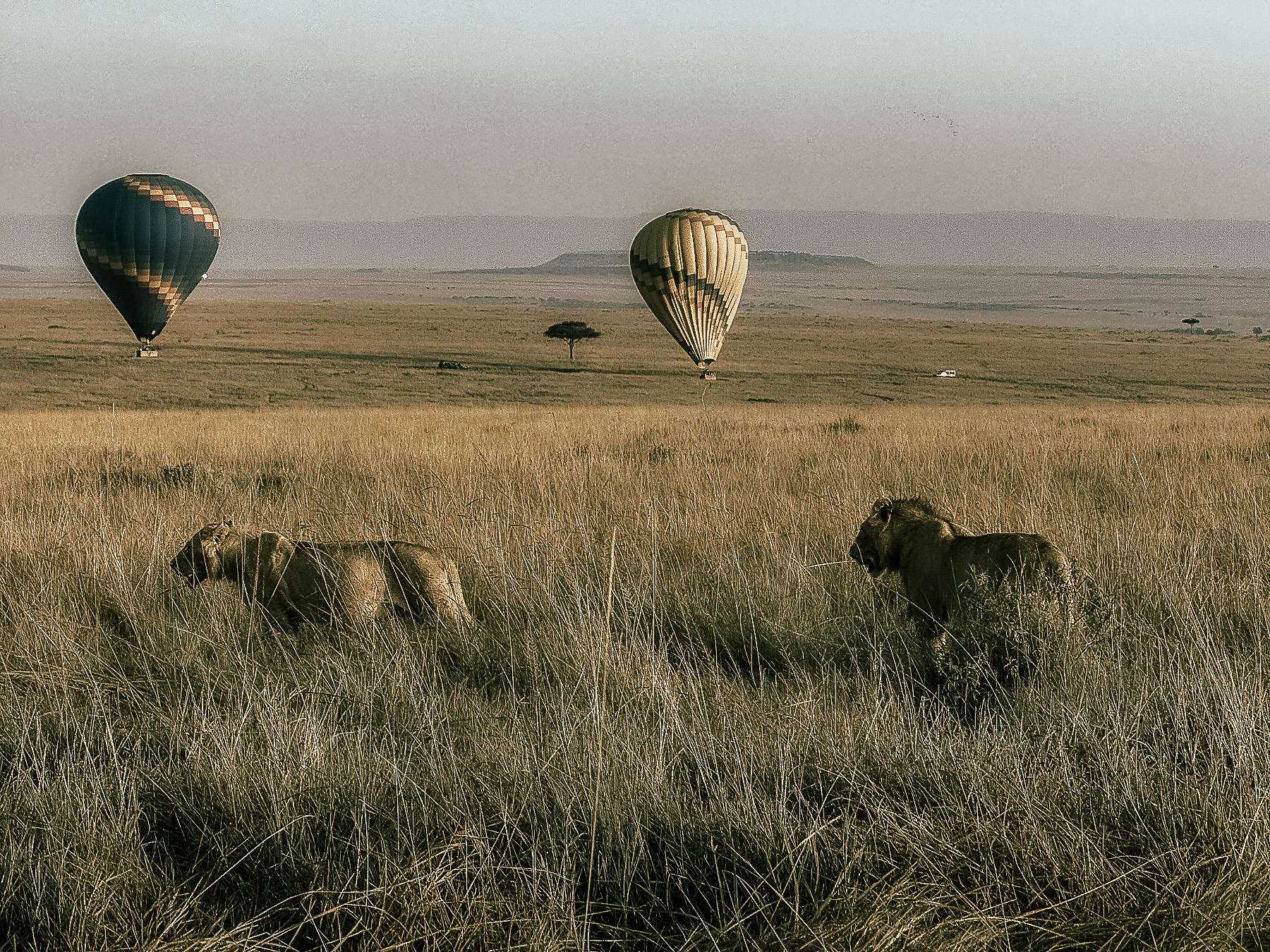 3-Day Kenya Masai Mara Group Joining Safari