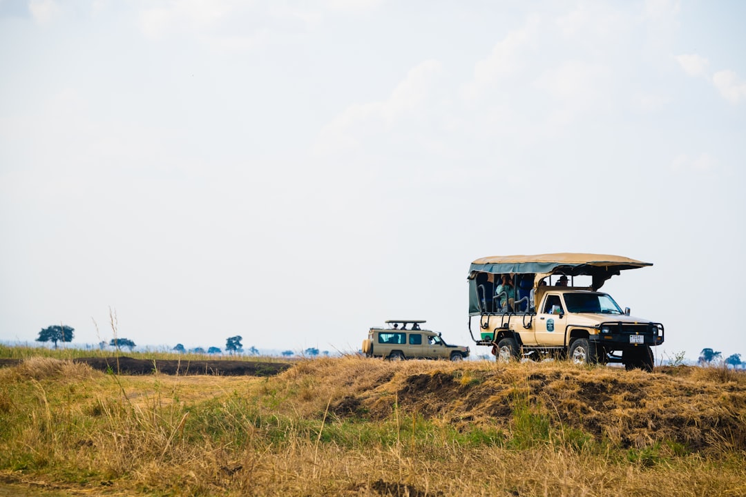 A safari vehicle is parked in a field