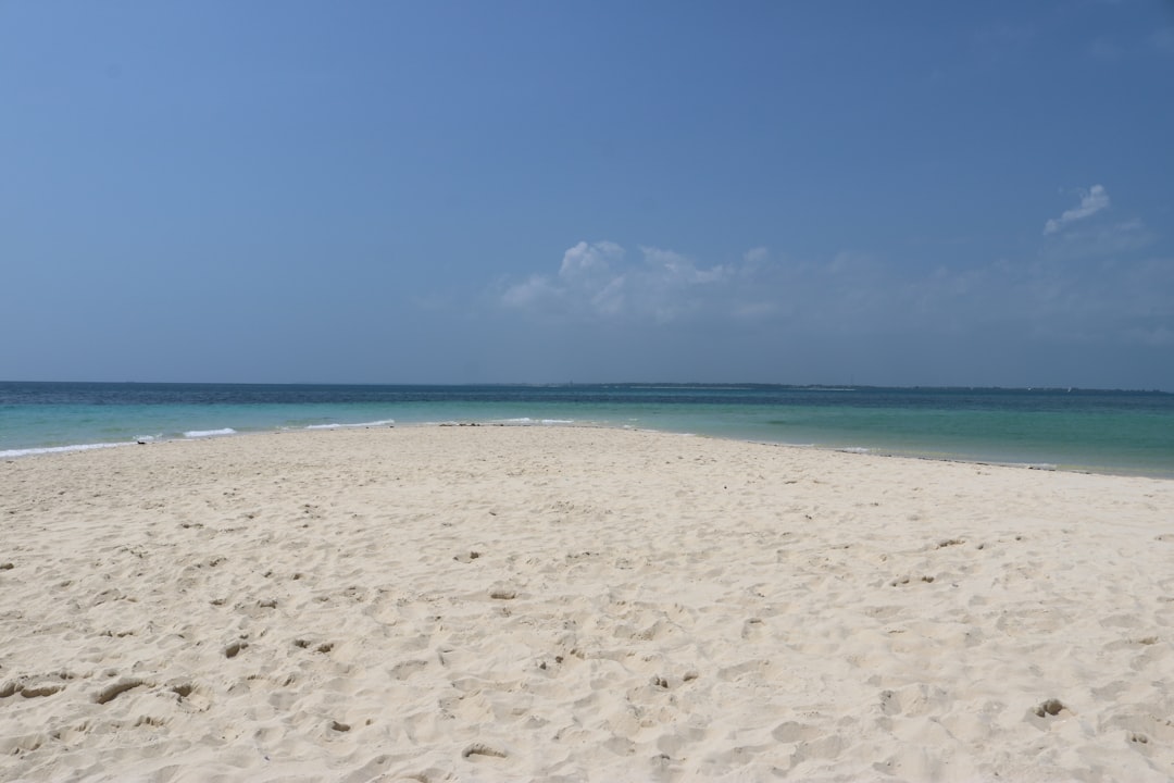 a sandy beach next to the ocean under a blue sky