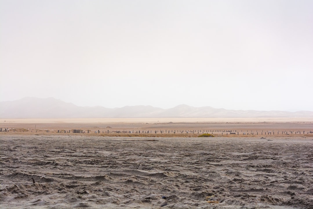 a lone horse standing in the middle of a desert