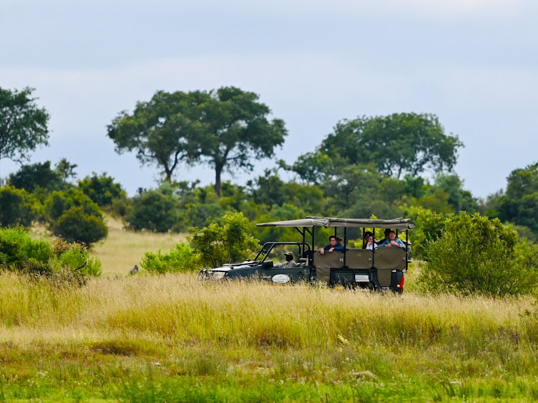 a group of people riding on the back of a safari vehicle