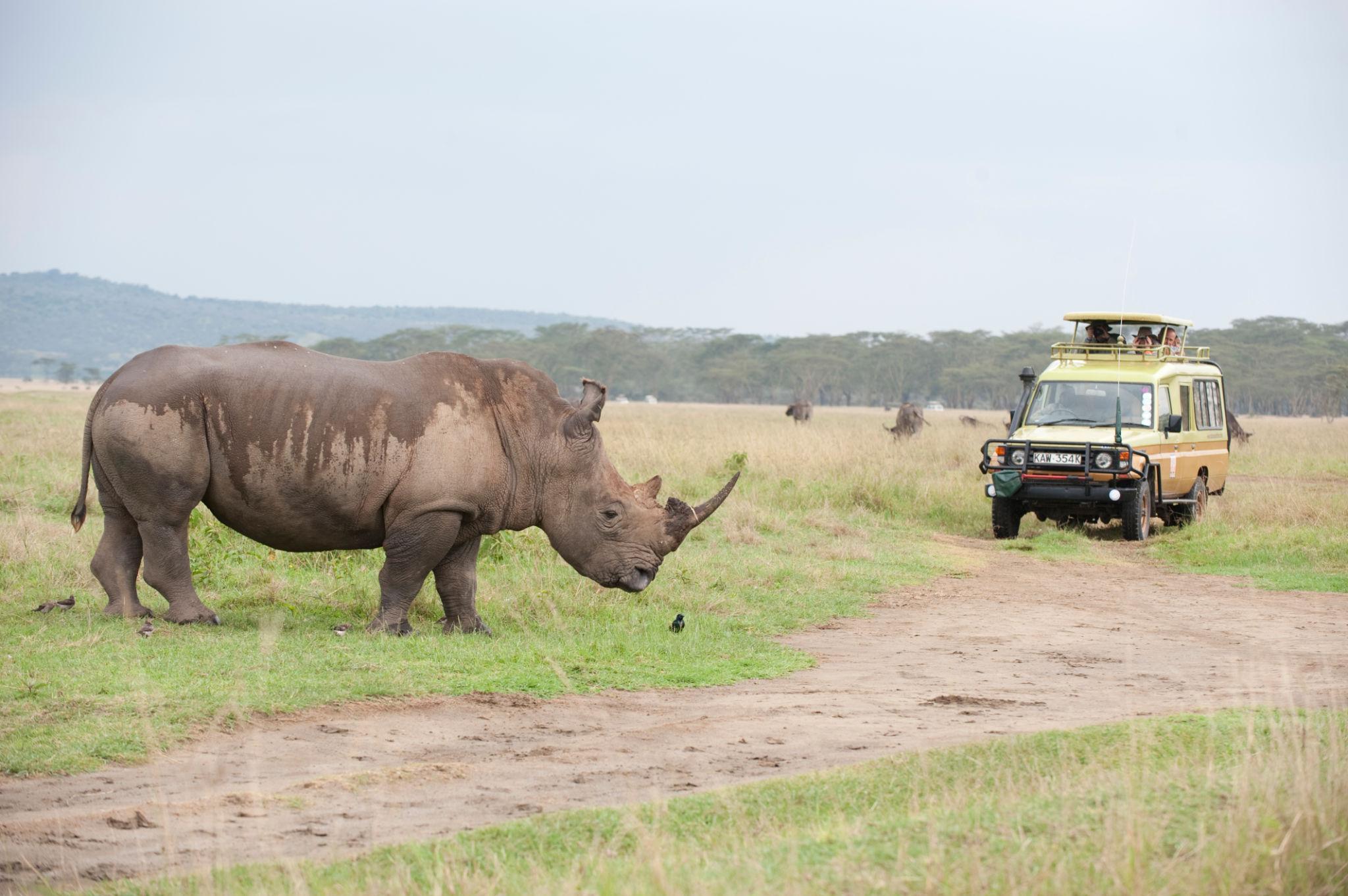 8-Day Kenya Private Luxury Safari