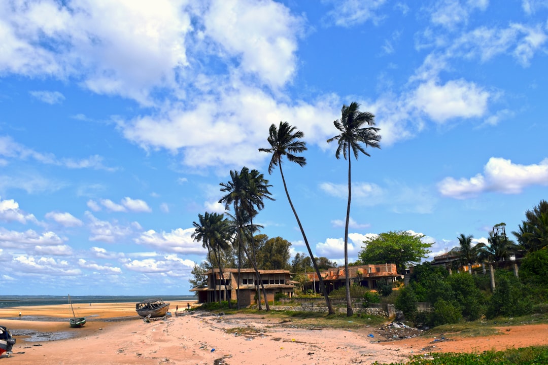 A beach with a boat and palm trees