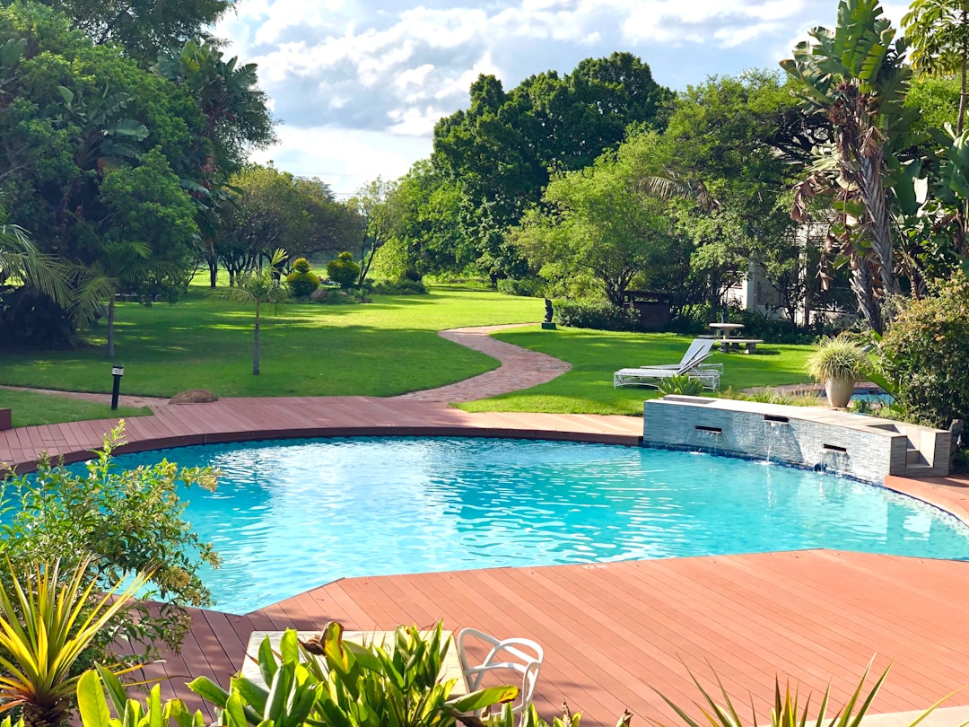 swimming pool with brown frame and pathway near trees during day
