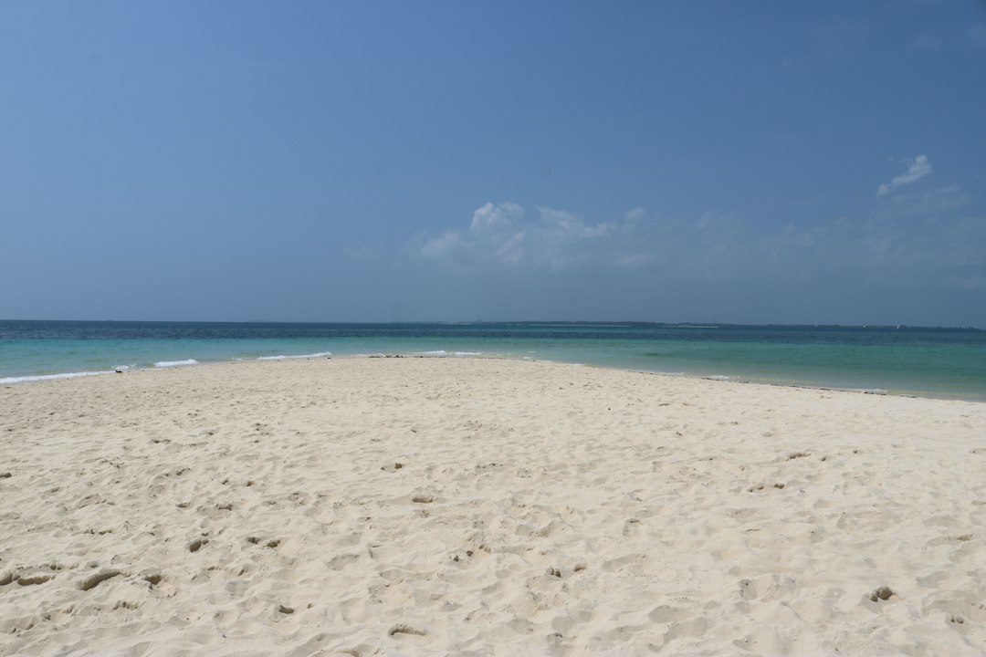 a sandy beach next to the ocean under a blue sky
