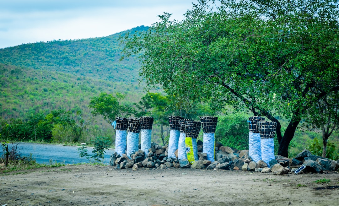 a bunch of water pipes sitting on top of a pile of rocks