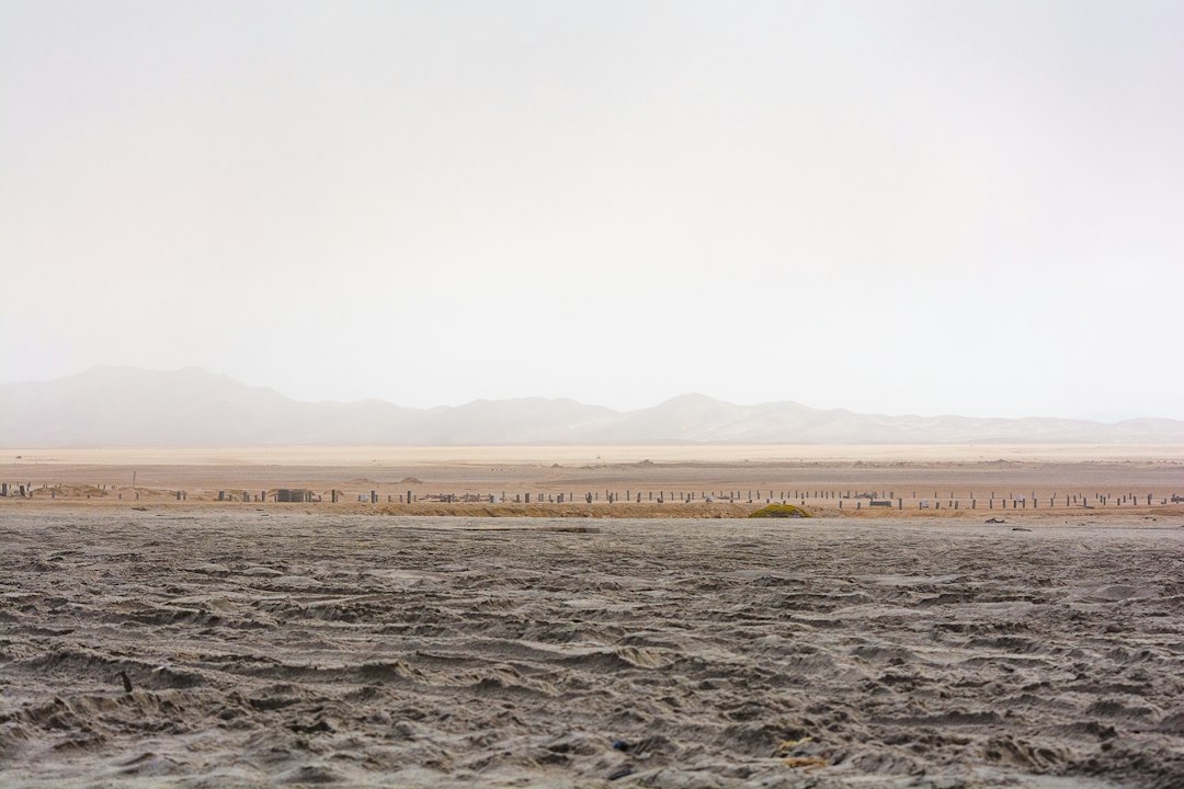 a lone horse standing in the middle of a desert
