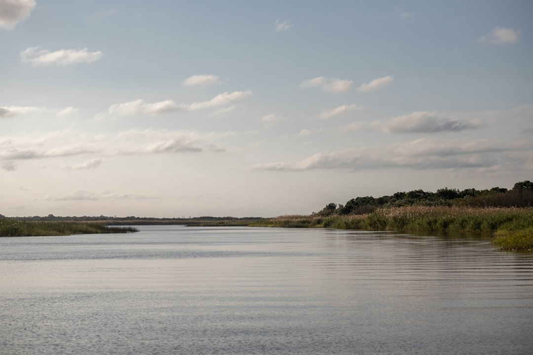 a body of water surrounded by grass and trees